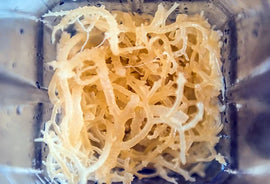 The Ultimate Sea Moss Guide