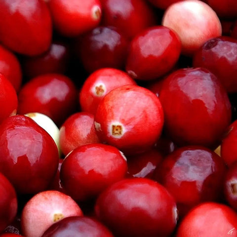 Cranapple Griffy's Organics