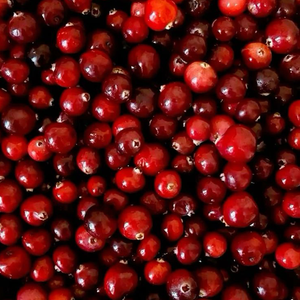 Jersey Cranberry
