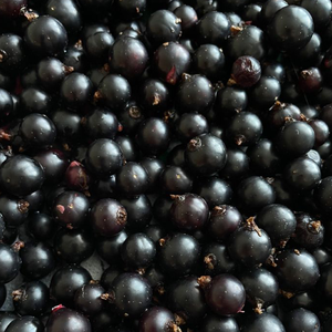 Aronia Berry