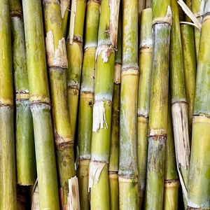 Raw Cane