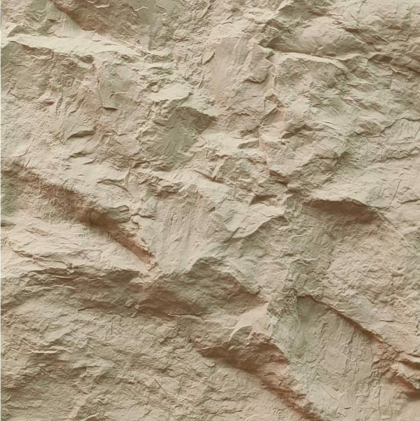 Signature Plant Protein 24g