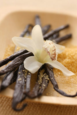 Organic Vanilla Bean