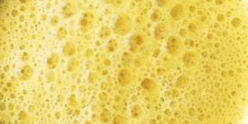 SUPER MINDFUL SHROOM