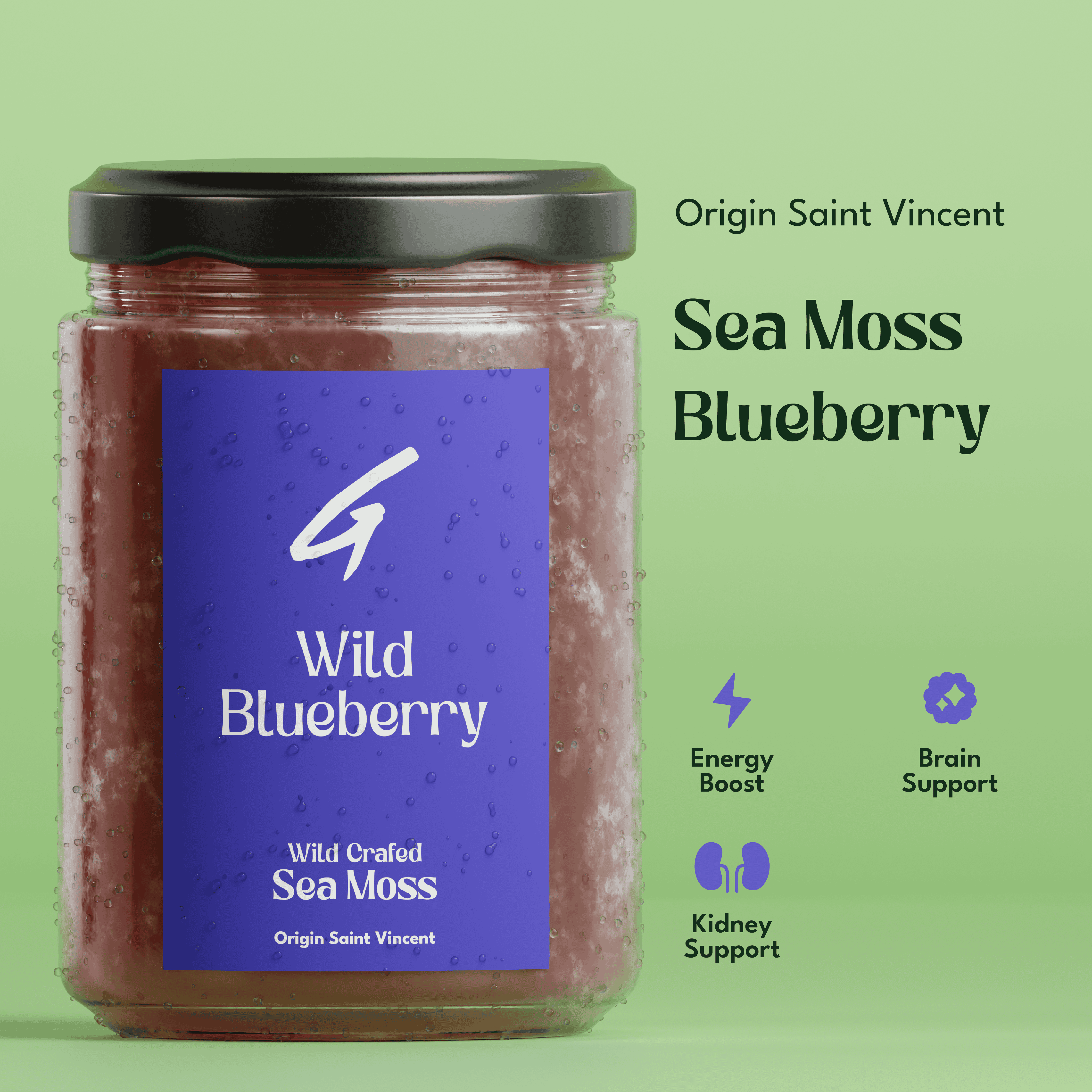 Wild Blueberry Sea Moss Gel