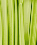 Pure Celery Griffy's Organics