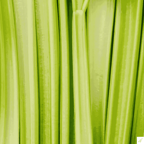 Pure Celery Griffy's Organics