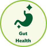 Product Icon