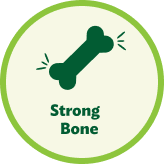 Product Icon
