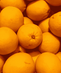 Lemon H2O Griffy's Organics