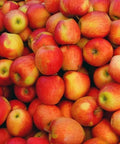 Raw Apple Juice Griffy's Organics