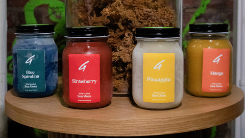 Explore Sea Moss Gel