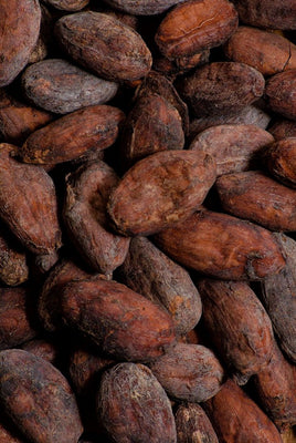 Organic Cacao