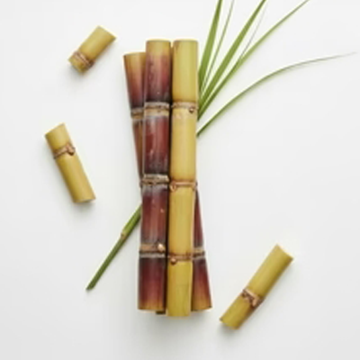 Raw Cane Grass